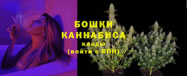 сатива Надым