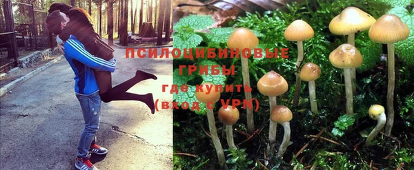 марки nbome Нефтекумск