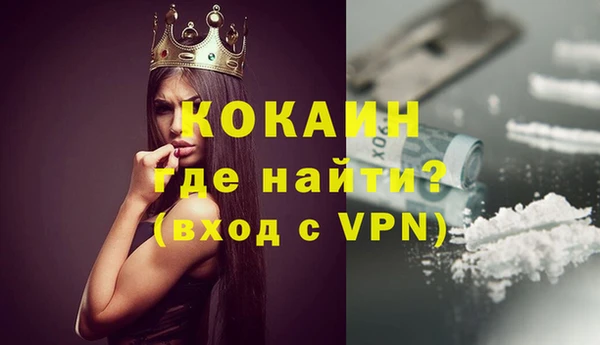 сатива Надым