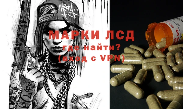 сатива Надым