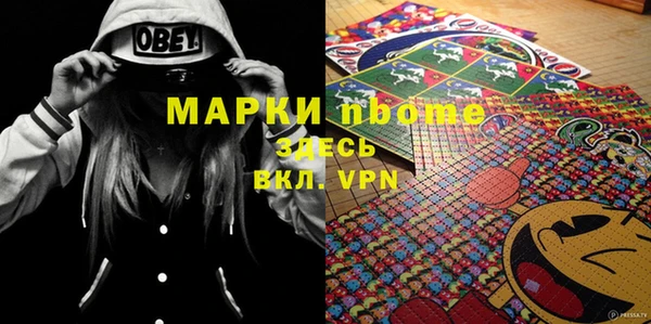 сатива Надым